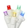 Kurt S. Adler LED Christmas Light Set (45421)